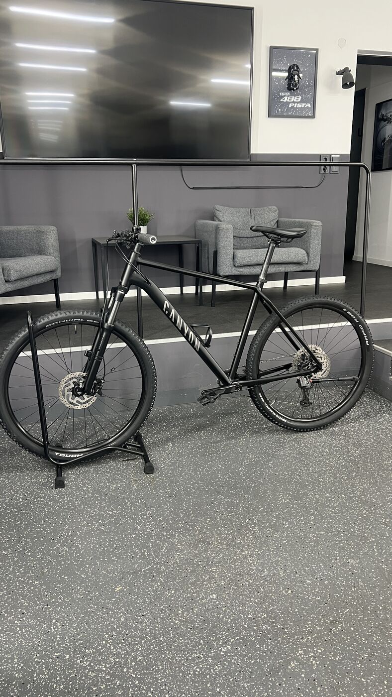 Canyon Mountainbike mit Mattlack-Versiegelung im Neowash-Studio Braunschweig